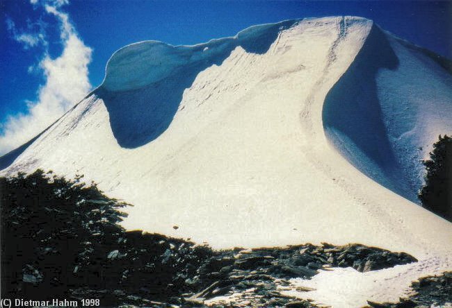 Kurz vor dem Gipfel der Wellenkuppe