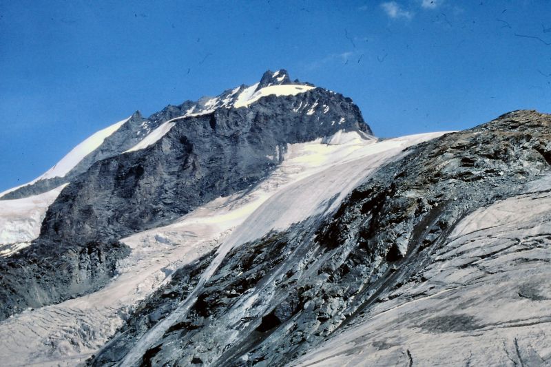 Die Rimpfischhorn