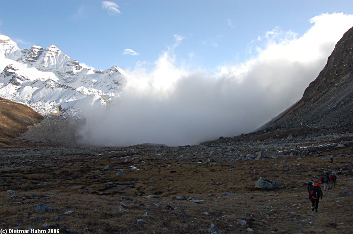 Ab in den Nebel